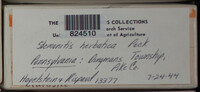 Image Associated With the Occurence